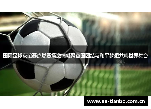 国际足球友谊赛点燃赛场激情凝聚各国团结与和平梦想共鸣世界舞台